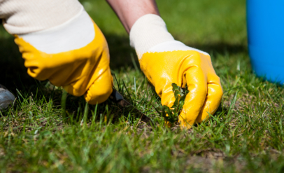 Higiene y Control Ambiental
